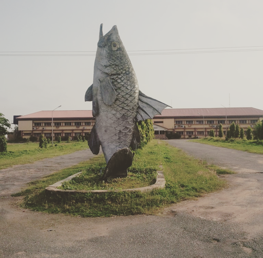 National Institute for Freshwater Fisheries Research - NIFFR, New Bussa, Nigeria, Beach Resort, state Niger