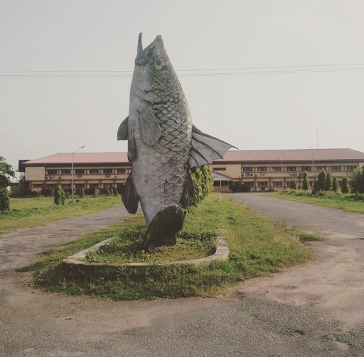 National Institute for Freshwater Fisheries Research - NIFFR, New Bussa, Nigeria, Print Shop, state Niger