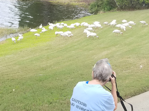Golf Club «Hampton Hall», reviews and photos, 170 Hampton Hall Blvd, Bluffton, SC 29910, USA