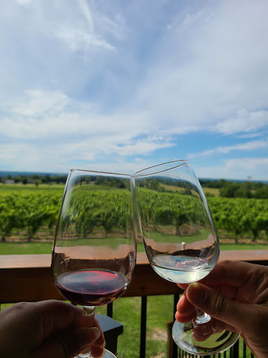 Winery «Three Brothers Wineries and Estates», reviews and photos, 623 Lerch Rd, Geneva, NY 14456, USA