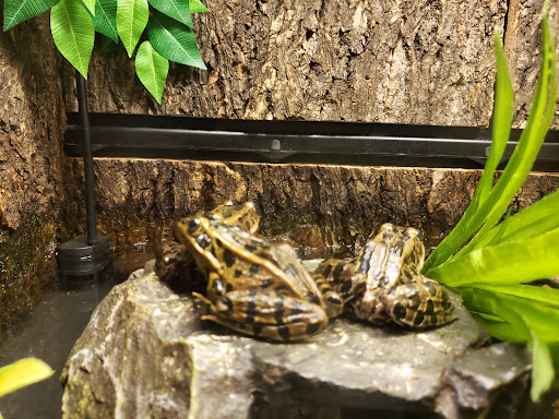 Zoo «Lake Superior Zoo», reviews and photos, 7210 Fremont St, Duluth, MN 55807, USA