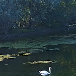 Photo n°6 de l'avis de SuperCristal75. fait le 10/06/2022 à 21:48 sur le  Osteria dello Sperone e Bed & Breakfast à Lonate Pozzolo