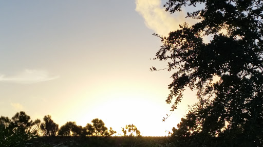 Public Golf Course «Vista Plantation Golf Club», reviews and photos, 48 Plantation Dr, Vero Beach, FL 32966, USA