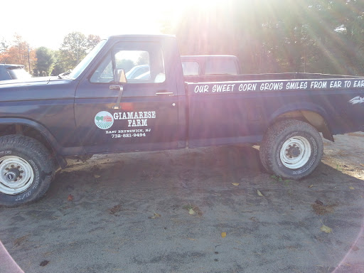 Farm «Giamarese Farm & Orchards», reviews and photos, 155 Fresh Ponds Rd, East Brunswick, NJ 08816, USA