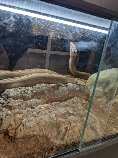 Pet Supply Store «Buckles Feed Depot & Pet Supply», reviews and photos, 220 S 4th St, Lafayette, IN 47901, USA