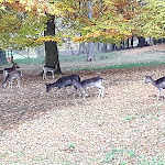 Photo n°8 de l'avis de Tara. fait le 27/11/2018 à 19:38 sur le  Gräflicher Park Health & Balance Resort à Bad Driburg