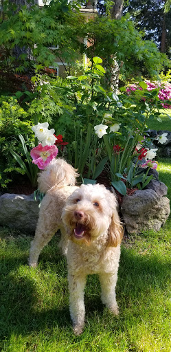 Pet Supply Store «Mud Bay», reviews and photos, 4816 Point Fosdick Dr NW, Gig Harbor, WA 98335, USA