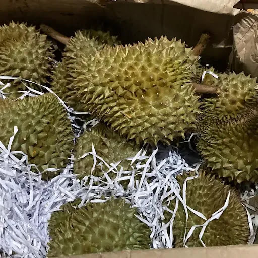 Grocery Store «West Street Grocery», reviews and photos, 305 N 7th St, St Helens, OR 97051, USA