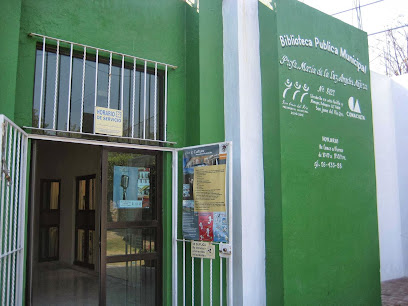 Biblioteca Pública Municipal (Pedregoso) Luz Ángeles Nájera