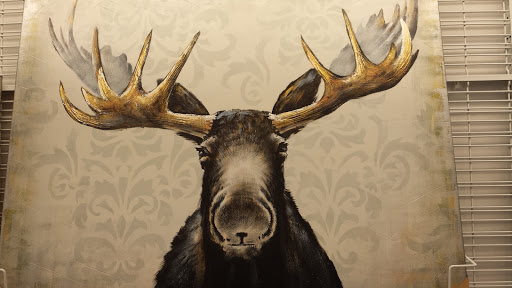 Clothing Store «Ross Dress for Less», reviews and photos, 21605 Village Lakes Shopping Center Dr, Land O Lakes, FL 34639, USA