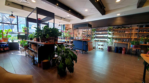 Florist «Chevy Chase Florist», reviews and photos, 5415 Friendship Blvd, Chevy Chase, MD 20815, USA