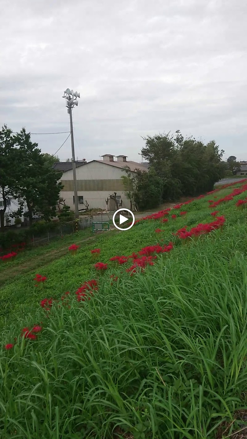 株 壽 埼玉県川越市鯨井 製造元 グルコミ