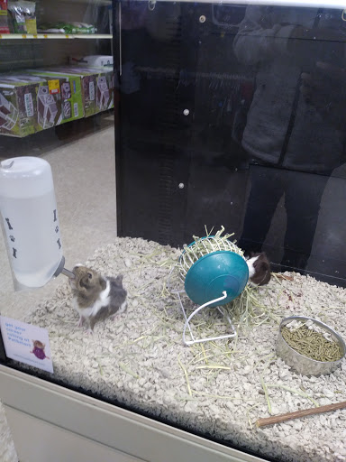 Pet Supply Store «PetSmart», reviews and photos, 950 Hanes Mall Blvd, Winston-Salem, NC 27103, USA