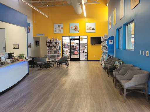 Pet Supply Store «Pet Club Cave Creek», reviews and photos, 4725 E Carefree Hwy, Cave Creek, AZ 85331, USA