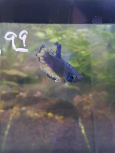 Pet Store «Pet Central», reviews and photos, 1259 N Green St, McHenry, IL 60050, USA