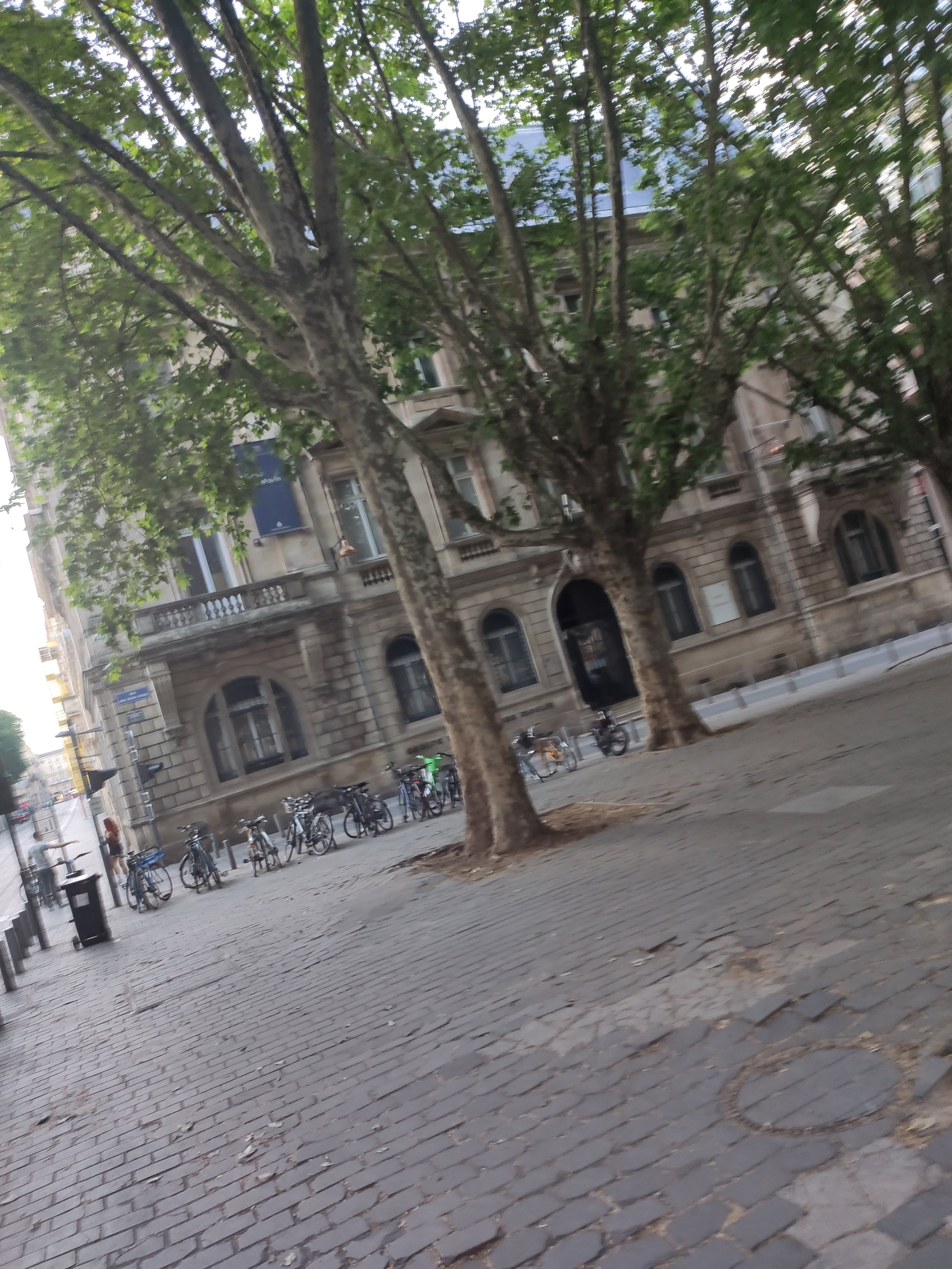 Photo n° 1 de l'avis de Brahim.e fait le 27/05/2022 à 09:14