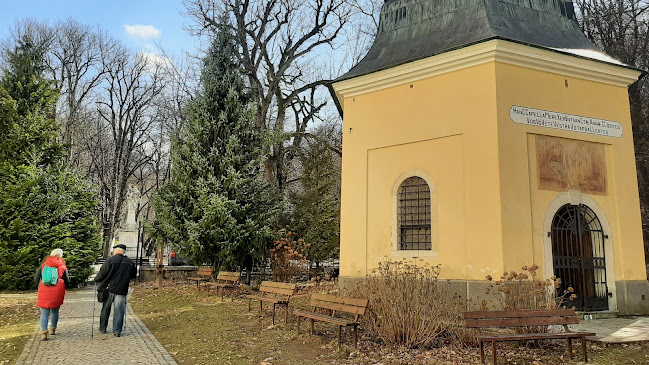 Pútnická bazilika Narodenia Panny Márie - Bratislava