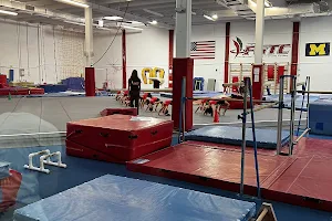 Florida Gymnastics Training image