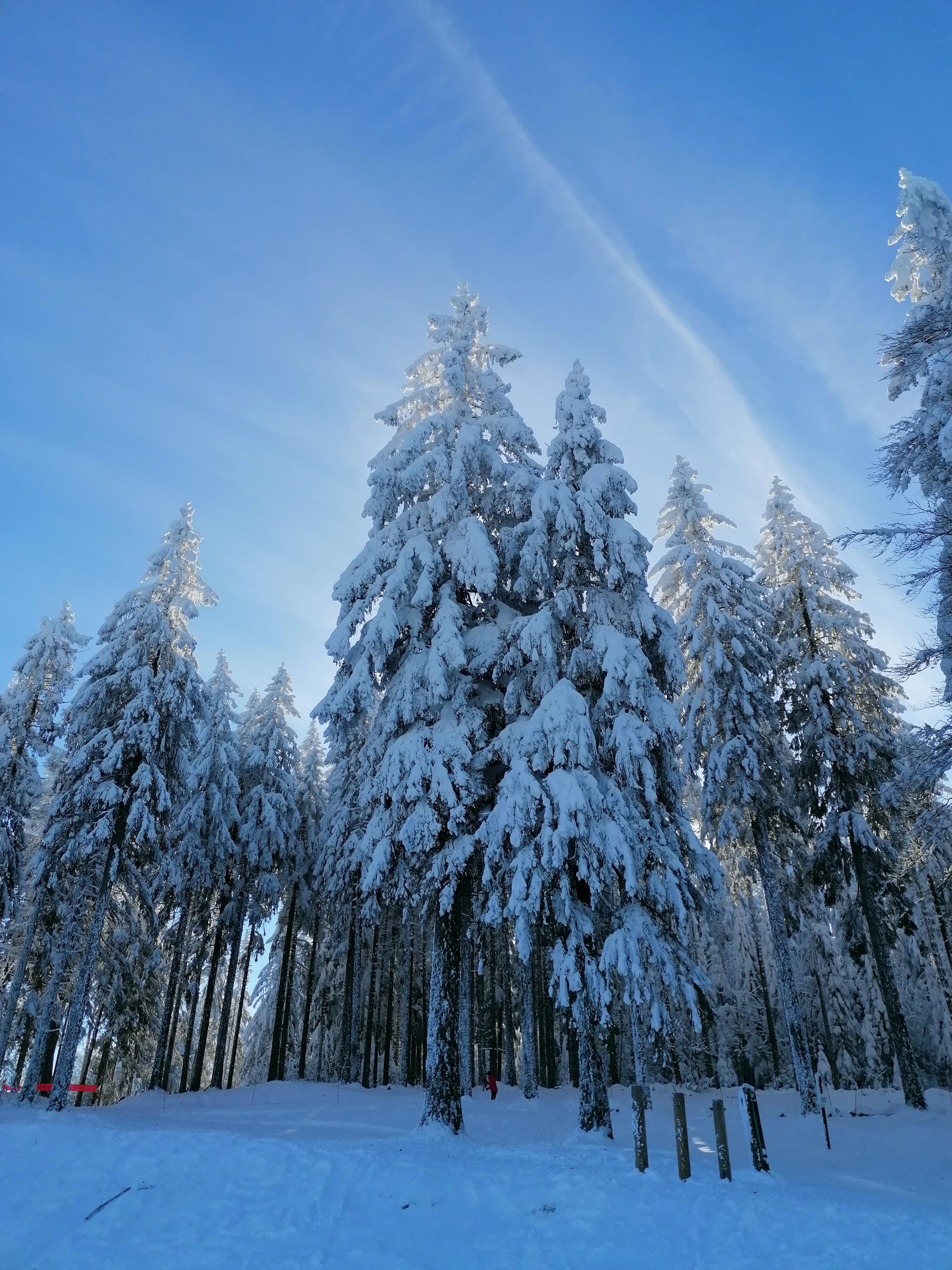 Photo n° 21 de l'avis de sumrak78. fait le 30/12/2020 à 15:39