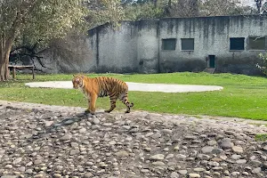 Mahendra Chaudhary Zoological Park, Chhat Bir Zoo, Zirakpur image