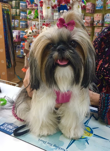 Pet Store «Bark Life Market», reviews and photos, 11220 Park Blvd N, Seminole, FL 33772, USA