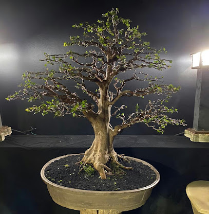 Ade Bonsai Nursery