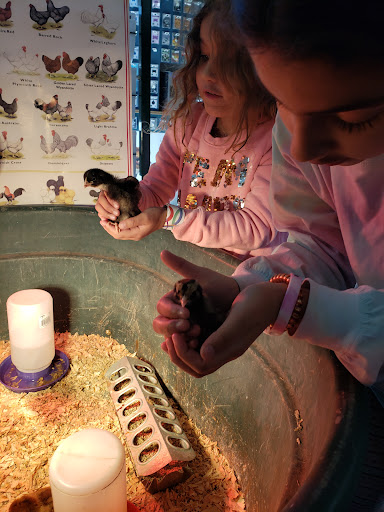 Pet Supply Store «Northern Star Mills», reviews and photos, 510 Esplanade, Chico, CA 95926, USA