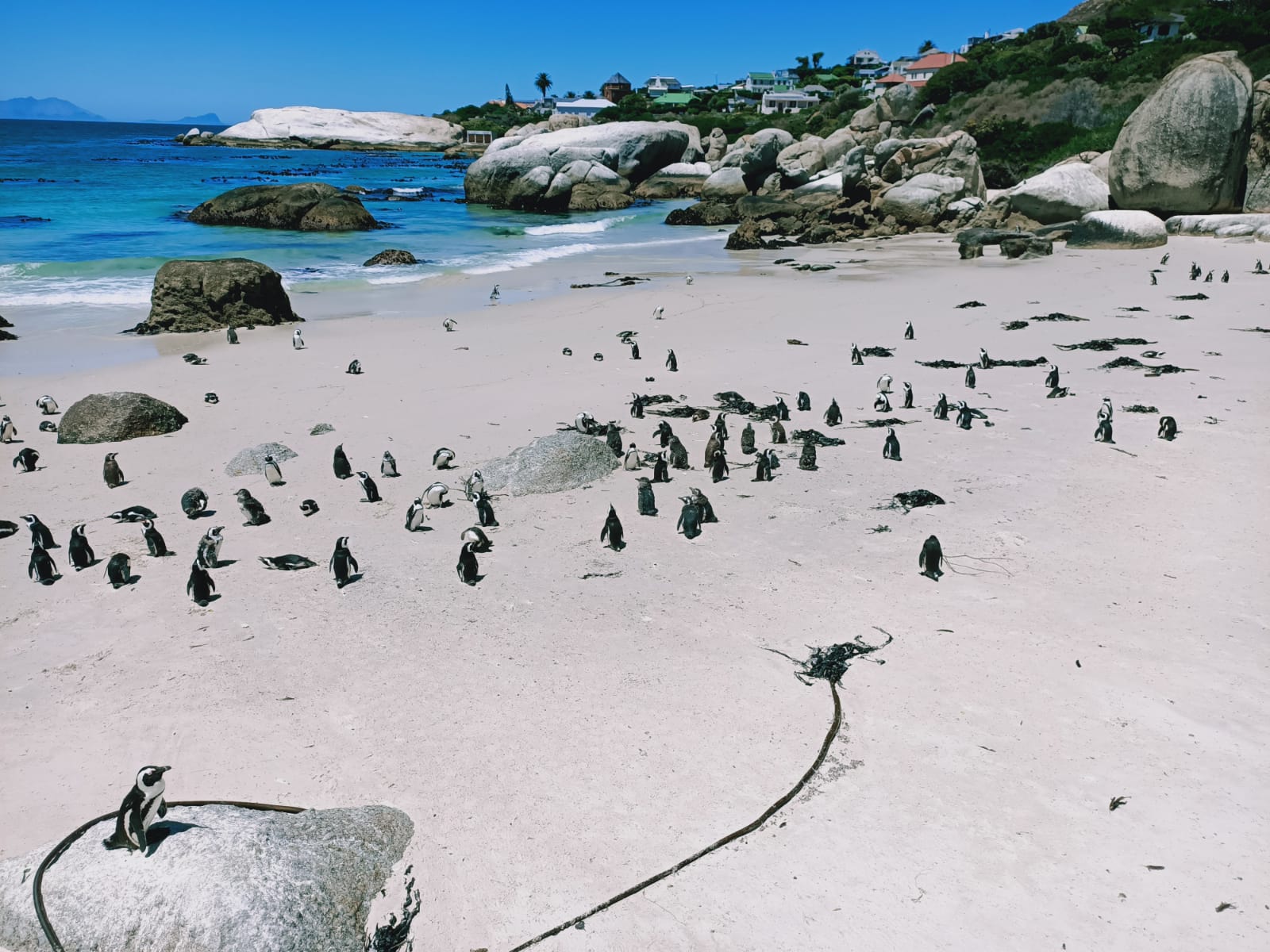 Foto av Boulders Strand med blå rent vatten yta