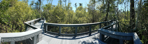 Nature Preserve «Tall Cypress Natural Area», reviews and photos, 3700 Turtle Run Blvd, Coral Springs, FL 33065, USA