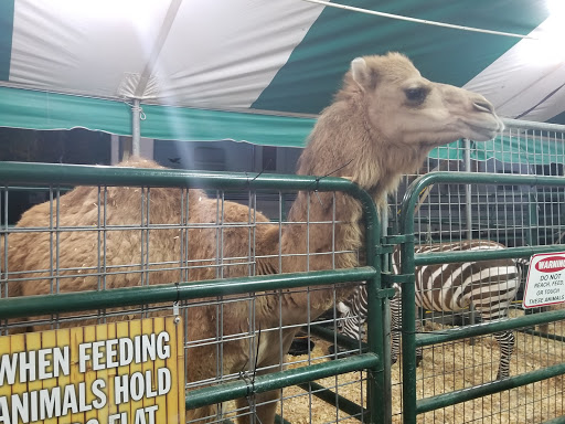 Live Music Venue «Oak Mountain Amphitheatre», reviews and photos, 1000 Amphitheater Rd, Pelham, AL 35124, USA