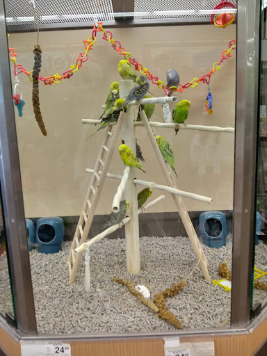 Shopping Mall «Bond Shopping Center», reviews and photos, 1891 S State Rd, Upper Darby, PA 19082, USA