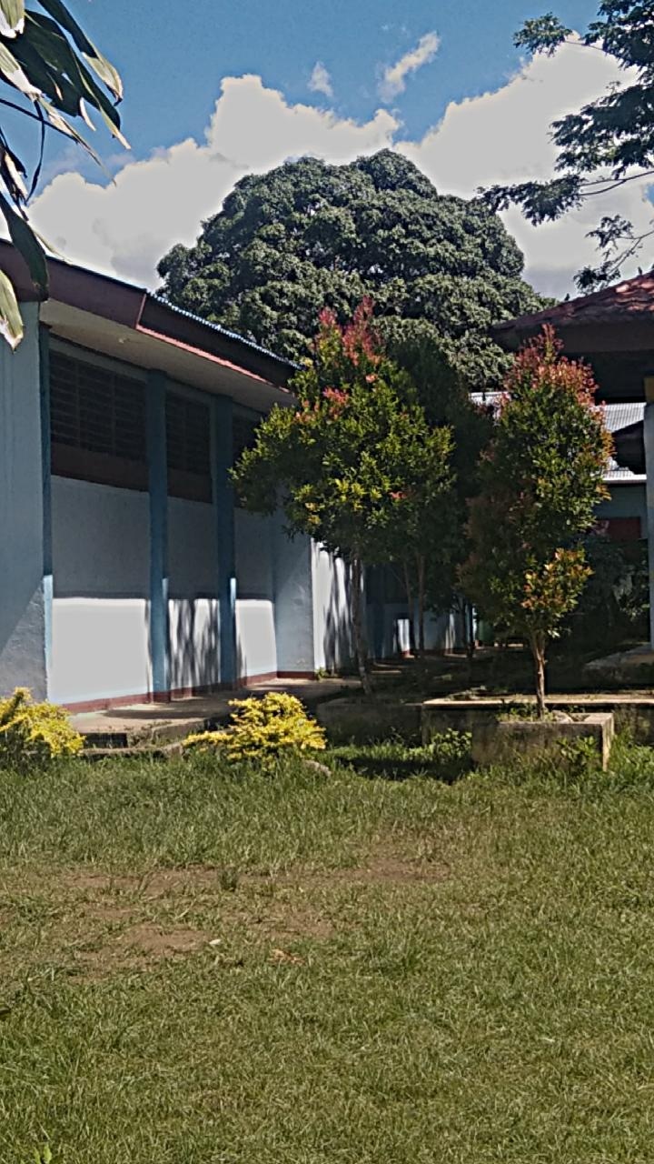 Foto SMP  Negeri 4 Manokwari, Kab. Manokwari