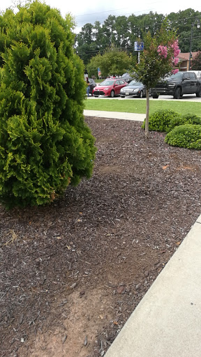 Credit Union «Navy Federal Credit Union», reviews and photos