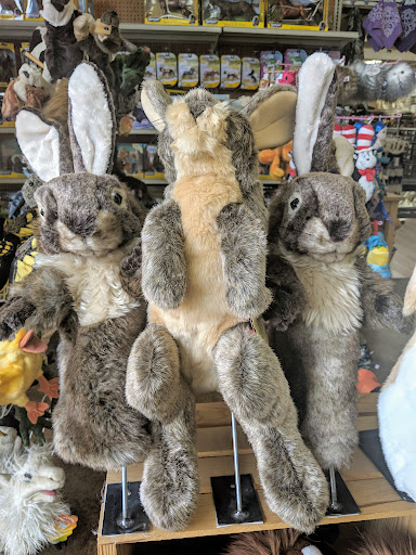 Pet Supply Store «Concord Feed Pet & Livestock Supplies», reviews and photos, 228 Hookston Rd, Pleasant Hill, CA 94523, USA