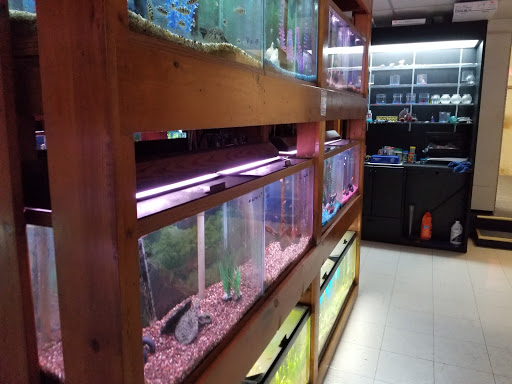 Pet Supply Store «All About Pets», reviews and photos, 9285 Cincinnati Columbus Rd, West Chester Township, OH 45069, USA