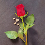 Photo n°4 de l'avis de Andrea.r fait le 14/02/2021 à 14:33 sur le  Eclipse - to the food and back à Cagliari