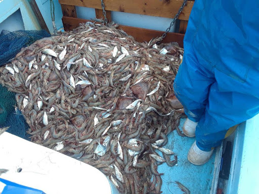 Seafood Market «Seven Seas Seafood Market», reviews and photos, 3476 US-17 BUS, Murrells Inlet, SC 29576, USA