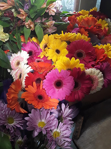 Florist «Arthur Pfeil Flowers», reviews and photos, 803 W Ashby Pl, San Antonio, TX 78212, USA