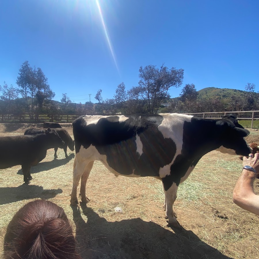 Farm Sanctuary