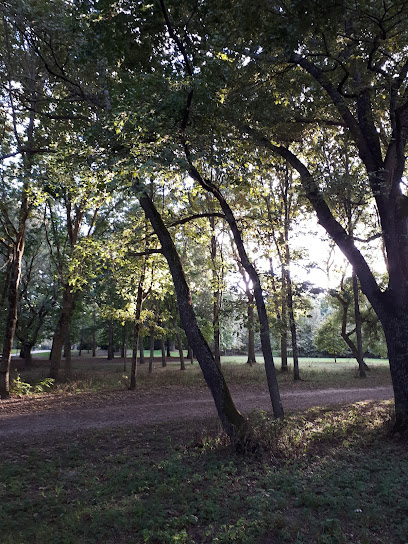 Bois de Limayrac