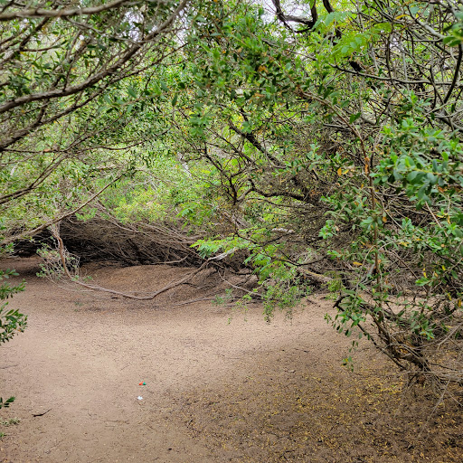 Park «Fort Funston», reviews and photos, Fort Funston Rd, San Francisco, CA 94132, USA