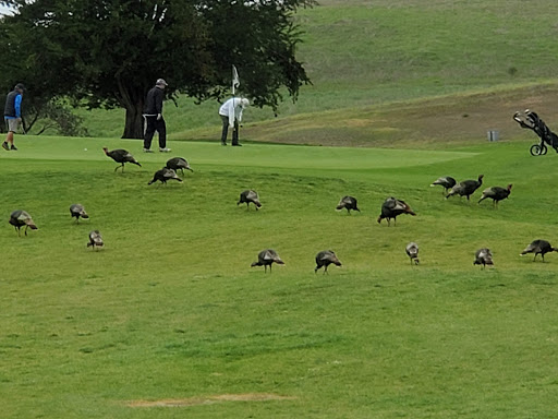 Golf Course «Dairy Creek Golf Course», reviews and photos, 2990 Dairy Creek Rd, San Luis Obispo, CA 93405, USA