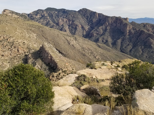 Tourist Attraction «Linda Vista Trail», reviews and photos, 730 E Linda Vista Rd, Oro Valley, AZ 85737, USA