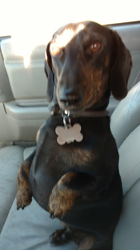 Pet Supply Store «Zamzows on Franklin Blvd», reviews and photos, 1201 Franklin Blvd, Nampa, ID 83687, USA