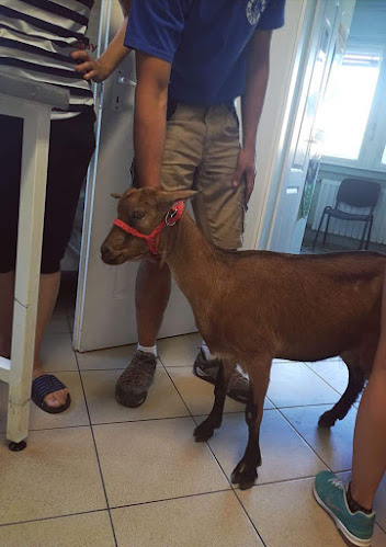 Chris Pet Center Állatpatika - Állatorvos