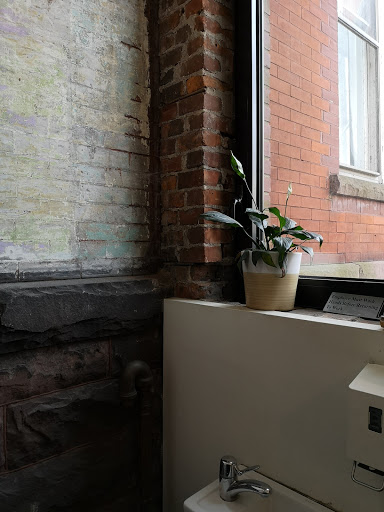 Coffee Shop «Tipico Coffee», reviews and photos, 128 Fargo Ave, Buffalo, NY 14201, USA