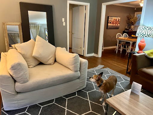 House Cleaning Service «Molly Maid of Greater Little Rock», reviews and photos, 4501 Crystal Hill Rd, North Little Rock, AR 72118, USA