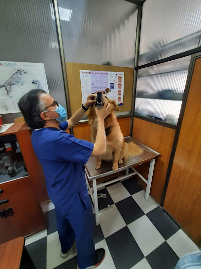 Centro Veterinario Angora