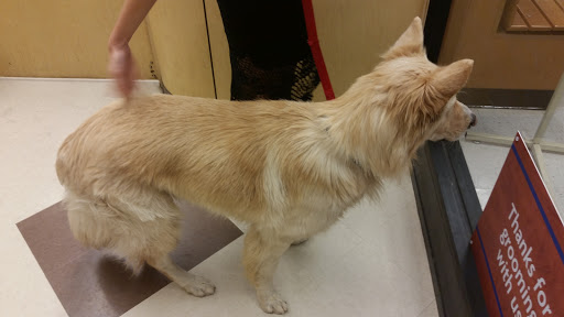 Pet Supply Store «PetSmart», reviews and photos, 2477 Naglee Rd, Tracy, CA 95304, USA