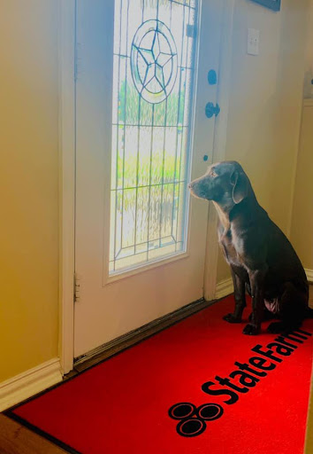 Insurance Agency «State Farm: Matt Springer», reviews and photos